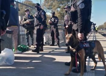 ESTACIÓN WILLIAM MORRIS: OPERATIVO DE POLICIA FEDERAL