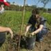 Limpieza de la costa y plantación de árboles nativos en una jornada ambiental en Vicente López.
