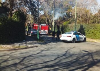HURLINGHAM:  SE PRENDIÓ FUEGO UN ÁRBOL.