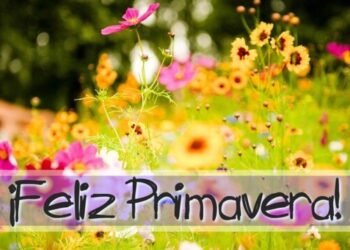 Feliz Día de la Primavera y del Estudiante 15 frases e imágenes para dedicar y enviar por WhatsApp.