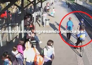 Tren San Martín: Atraparon dos menores que robaron bicicleta.