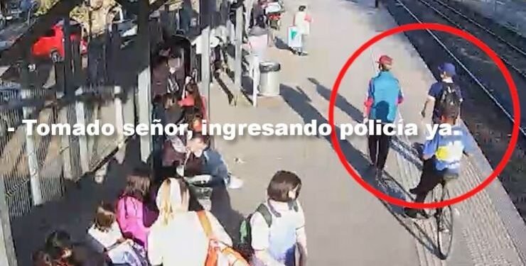 Tren San Martín: Atraparon dos menores que robaron bicicleta.