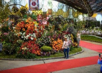 ESCOBAR: Nueva edición de la «Fiesta Nacional de la Flor».