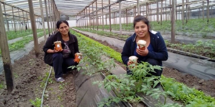 VICENTE LÓPEZ: Verduras, frutas y productos agroecológicos del productor al consumidor.