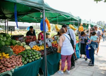Hurlingham: Vuelve el Mercado Central con precios accesibles.