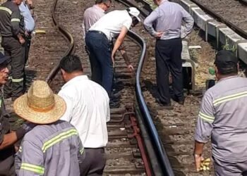Descarriló una formación del Tren Urquiza: En Martin Coronado hay heridos leves.