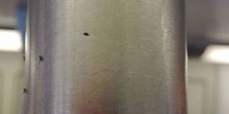 TREN LINEA SAN MARTIN: PIOJOS , GARRAPATAS Y PULGAS EN LOS TRENES .