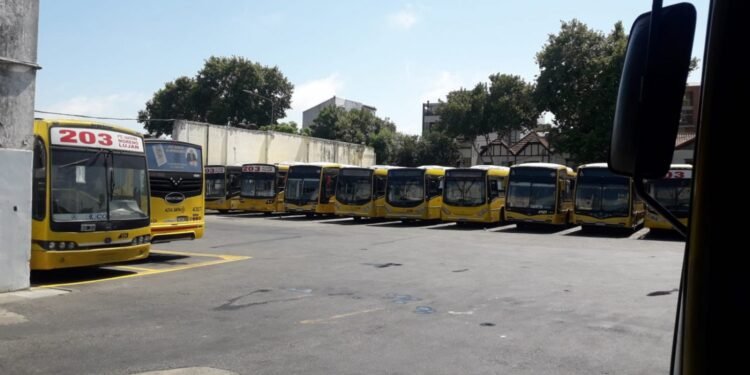 ULTIMO MOMENTO: CHOFER DE LA LIENA 203 FUE APUÑALADO.