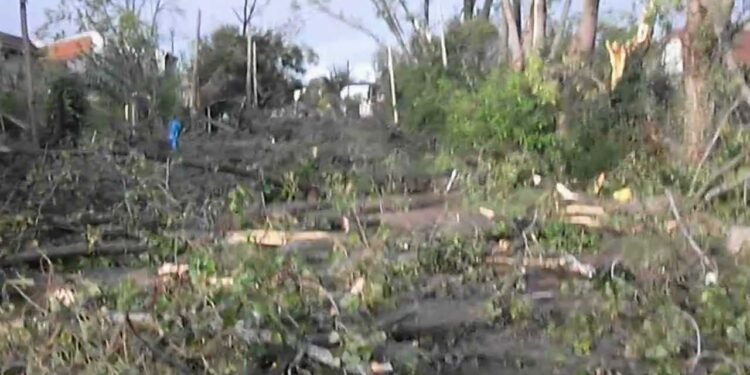 EL DIA DESPUES DEL TORNADO.