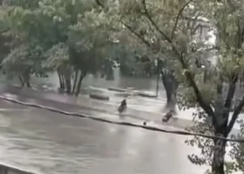 Hallaron el cuerpo del adolescente desaparecido en Loma Hermosa durante la tormenta.