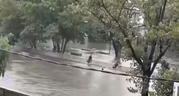 Hallaron el cuerpo del adolescente desaparecido en Loma Hermosa durante la tormenta.