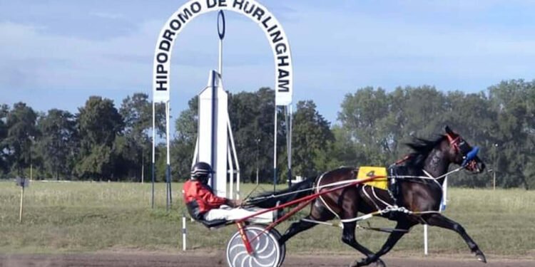 HIPODROMO DE HURLINGHAM , TE INVITA A PASAR UN DIA EN FAMILIA.