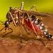 Dengue: Cómo es la situación de brote en el conurbano y qué municipios tienen mayor cantidad de casos.