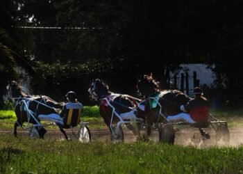 HIPODROMO DE HURLINGHAM: SE JUEGA  LA COPA  TITO SCORZO
