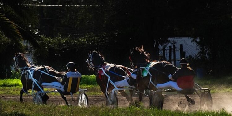 HIPODROMO DE HURLINGHAM: SE JUEGA  LA COPA  TITO SCORZO