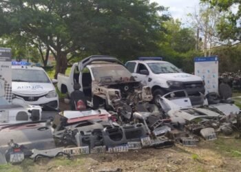 Hurlingham: La Policia desarticuló desarmaderos ilegales.