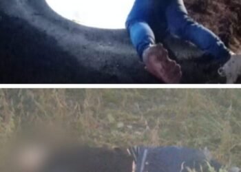 Hallan el cuerpo de un hombre y una mujer en una zona descapada en Monte Grande.