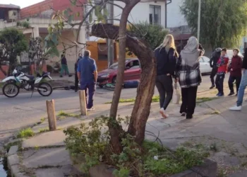 Horror en Lanús: mató a su hermano a tiros por una casa