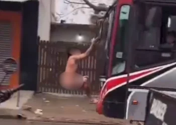 UN MASCULINO VIAJO DESNUDO EN EL PARABRISAS DE UN COLECTIVO.