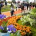 ESCOBAR: Arranca la Fiesta de la Flor con shows de grandes artistas, más de 120 expositores y su clásico desfile de carrozas.