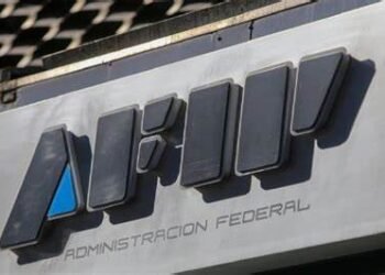 QUE PASARA CON LA AFIP ,Qué pasará con el monotributo y los contadores , cuál es el impacto de la medida del gobierno.