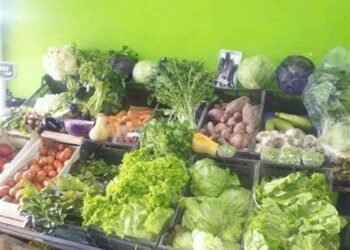 MERLO: ROBARON UNA VERDULERÍA QUE RECAUDA FONDOS PARA UN CENTRO COMUNITARIO.