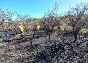 MERLO: COMO LA MUNICIPALIDAD NO RECOLECTA LA BASURA, LOS VECINOS LA PRENDEN FUEGO PERO CASI INCENDIAN UN CAMPO.