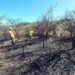 MERLO: COMO LA MUNICIPALIDAD NO RECOLECTA LA BASURA, LOS VECINOS LA PRENDEN FUEGO PERO CASI INCENDIAN UN CAMPO.