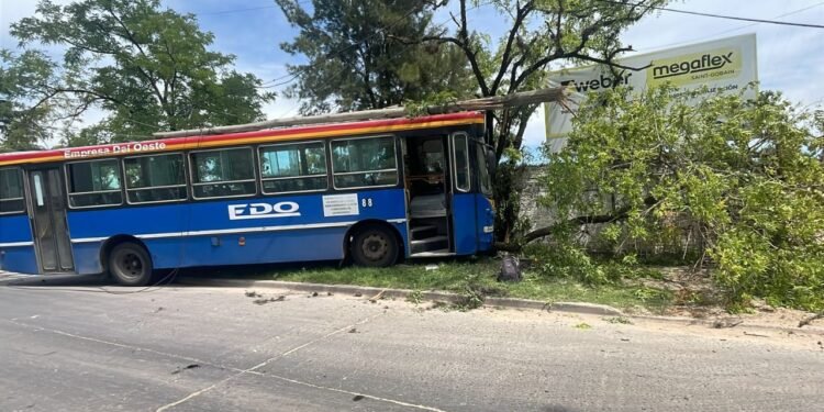 Hurlingham: Un colectivo de la empresa Edo Sat , pierde en control y choca con un arbol.
