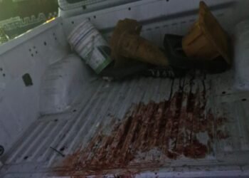 Asesinaron a un vecino de Vicente López en un intento de robo.