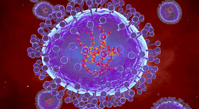 CHINA NUEVO BROTE DE METAPNEUMOVIRUS .
