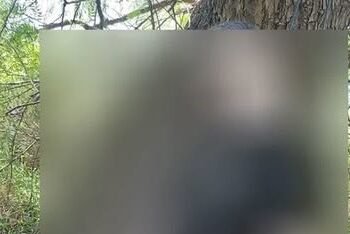 PABLO NOGUES: HALLARON A UN HOMBRE AHORCADO AL COSTADO DE LA COLECTORA.