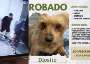 JOSE C PAZ ENTRARON A ROBAR Y SE LLEVARON HASTA EL PERRO DE LA CASA .