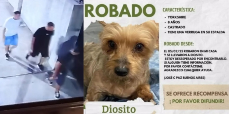 JOSE C PAZ ENTRARON A ROBAR Y SE LLEVARON HASTA EL PERRO DE LA CASA .