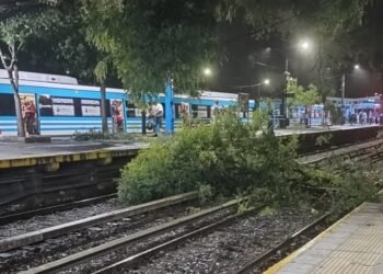 Temporal en el AMBA: Trenes con demoras y servicios reducidos,  varios vecinos sin luz .
