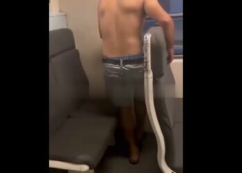 LINEA SAN MARTIN : Pasajeros orinan sobre un tren y la policía los obliga a limpiarlo con su ropa.