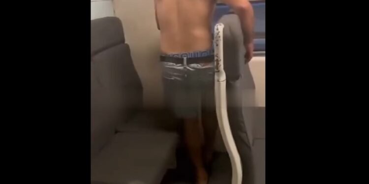 LINEA SAN MARTIN : Pasajeros orinan sobre un tren y la policía los obliga a limpiarlo con su ropa.