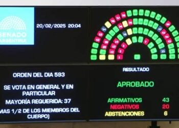 El Senado convirtió en ley la suspensión de las PASO y le dio un triunfo al gobierno nacional.
