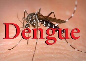 Dengue: la Provincia lanzó un sistema de teleconsultas gratis con médicos.