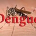 Dengue: la Provincia lanzó un sistema de teleconsultas gratis con médicos.