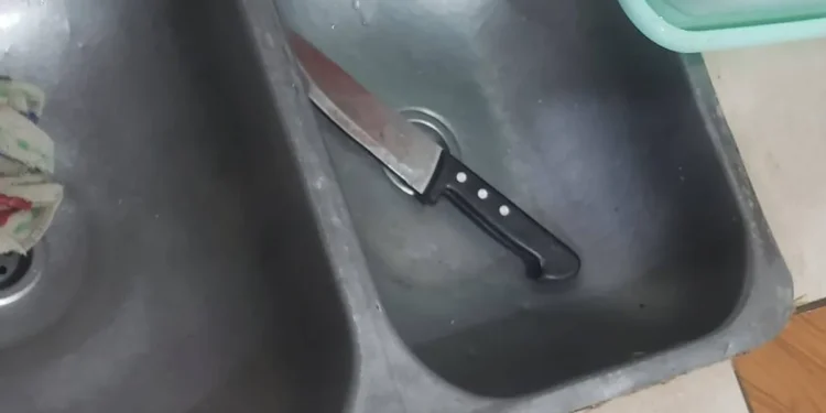 MARIANO ACOSTA:DISCUTIO CON SU PAREJA Y LO MATO .