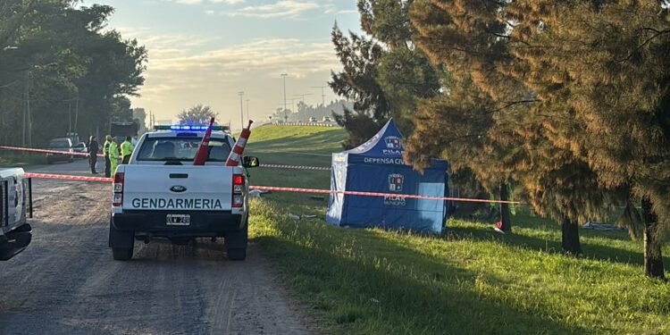 Cinco jóvenes murieron y uno resultó herido en un vuelco en la autopista Panamericana.