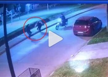 JOSE C PAZ : VOLVIA DE SU TRABAJO LE ROBARON Y LE PEGARON DOS  TIROS .