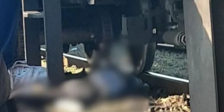 WILLIAM MORRIS : ACCIDENTE FATAL .