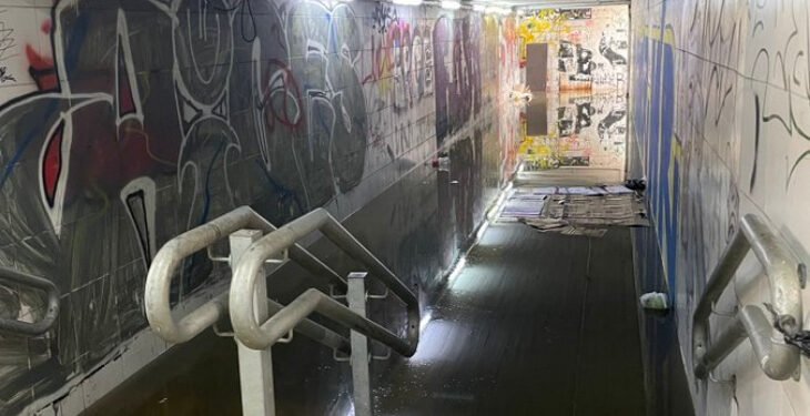 MERLO : ROBO PIRAÑA A PLENA LUZ DEL DIA EN LA ESTACION DE TREN