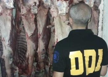 JOSE C PAZ :  OTRA VEZ ROBO PIRAÑA A CARNICERIAS .