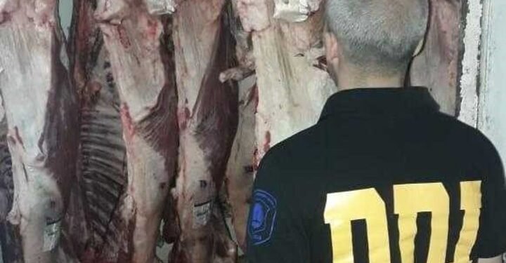 JOSE C PAZ :  OTRA VEZ ROBO PIRAÑA A CARNICERIAS .