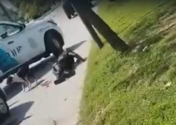 Tragedia en San Fernando: un policía fue asesinado y otro resultó gravemente herido tras un forcejeo con un delincuente.