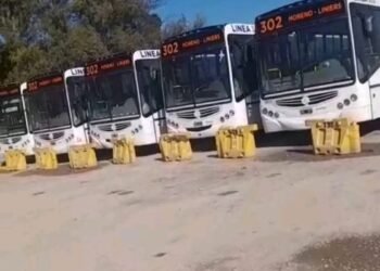 LA LINEA 302 Y 303 PASO A MANOS DE METROPOL .