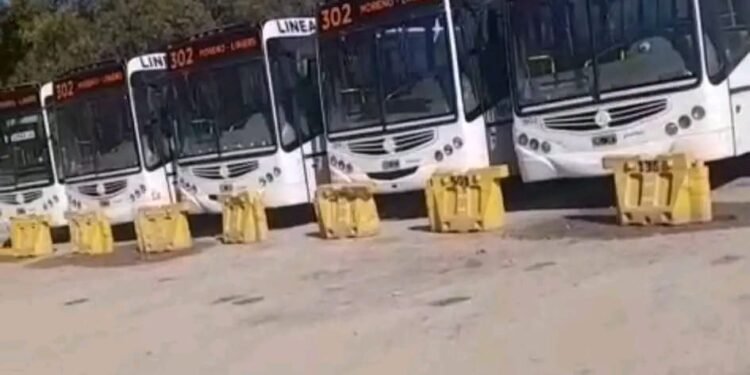 LA LINEA 302 Y 303 PASO A MANOS DE METROPOL .